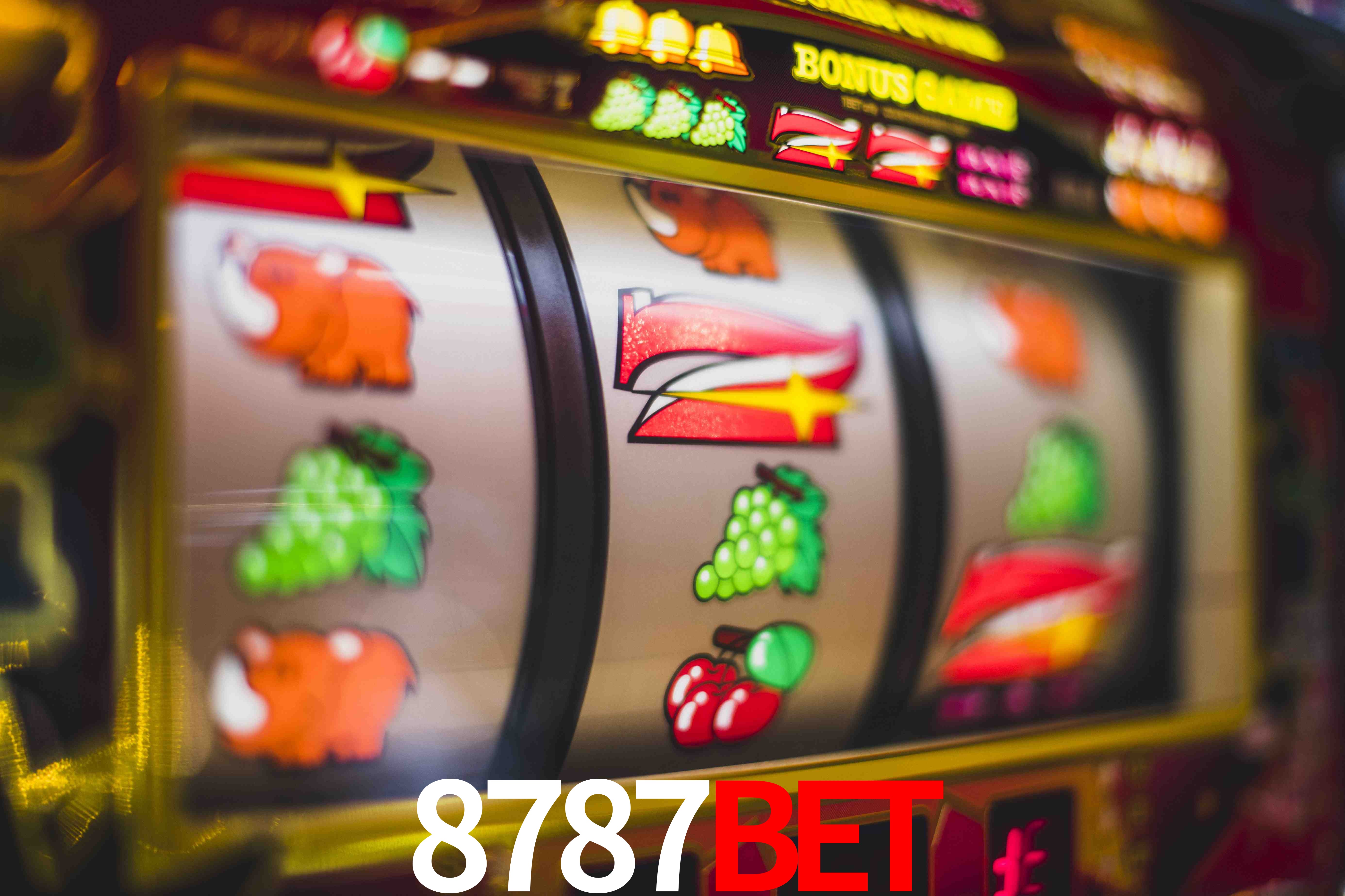 Statistics 8787BET